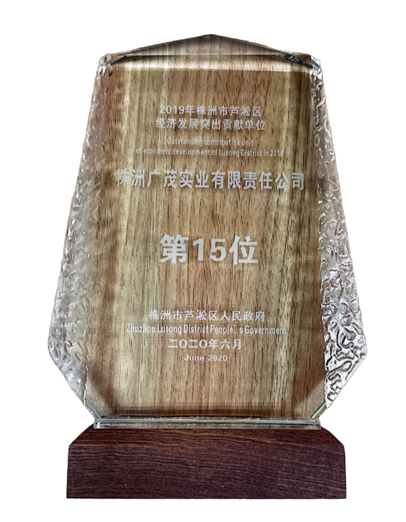 经济发展突出贡献单位15名