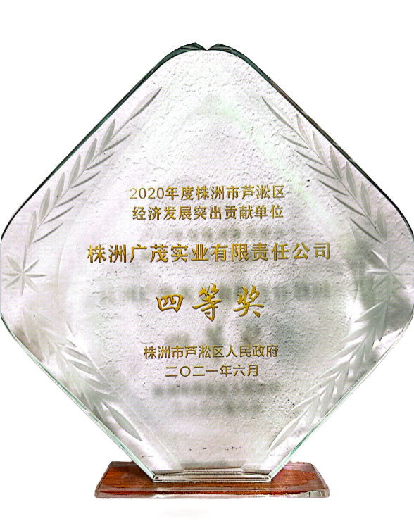 经济发展突出贡献单位四等奖